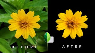 How to make background black in snapseed  how to black background in photo [upl. by Rauscher]