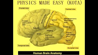 ANATOMY OF BRAIN HEAD amp NECK INTERNAL CAROTID ARTERIES OF HEAD SKULL BONES FOR NEET amp AIIMS  2 [upl. by Brandenburg279]