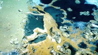 Stunning Underwater Brine Lake and Deep Sea Waves  Nautilus Live [upl. by Aisatsana]