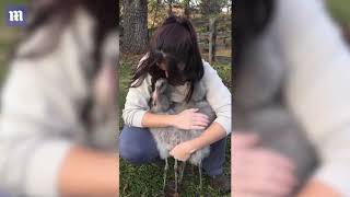 Baby flamingoes run to cuddle with their human friend [upl. by Tanney]