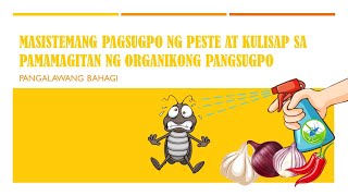 MASISTEMANG PAGSUGPO NG PESTE AT KULISAP NG MGA HALAMAN SA PAMAMAGITAN NG ORGANIKONG PANGSUGPO [upl. by Dillon]