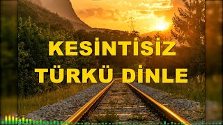 KESİNTİSİZ TÜRKÜ DİNLE  TÜRK HALK MÜZİĞİ türküler [upl. by Aliuqehs]