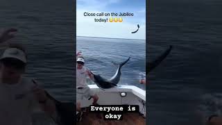 Swordfish attacks man on a boat 😯 swordfish boat attack memes meme funny animals ocean [upl. by Darwen]