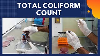 Total Coliform Count TCCA Complete Procedure ISO 48322006 [upl. by Suivatna]