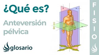 ANTEVERSIÓN  Qué es causas qué estructuras están involucradas y a quién afecta [upl. by Nasho]