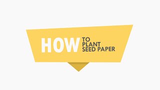 How to Plant Seed Paper The Right Way  Planting Instructions for Plantable Seed Paper [upl. by Felicle]