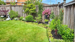 Garden Tour Back Yard 4K  May 15 2024 [upl. by Odlaumor]