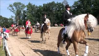 Haflinger Europa Championat 2012  Lap of honour [upl. by Edrea734]