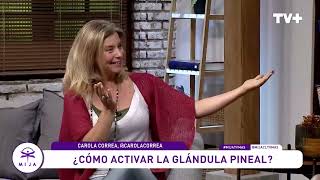 ¿Cómo activar la glándula pineal [upl. by Emmer]