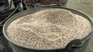 Your Day with Susy Morris  Potting Soil [upl. by Eiderf]