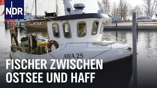 Zwischen Ostsee und Haff  Vom Überlebenskampf der letzten Fischer  Die Nordreportage  NDR [upl. by Janek]