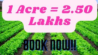 250 Lakh per Acre  Agriculture land in Tamil nadu [upl. by Kralc369]