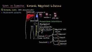 Kronik Miyeloid Lösemi KML Nedir Sağlık Bilgisi ve Tıp [upl. by Nela]