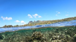 Anahola beach snorkel exploration I find an eagle ray and neat rock formations East side Kauai [upl. by Rebane]