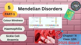 Mendelian Disorders Part1  Colour Blindness  Haemophilia  Sickle Cell Anaemia 12th Biology [upl. by Salomi]