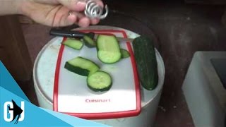 414 How to Sink Raw Cucumbers for Plecos  Tank Tip [upl. by Campney956]