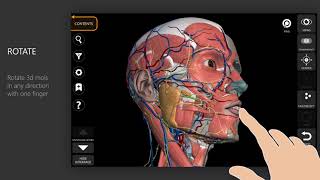 Anatomy 3D Atlas App Tutorial [upl. by Davide263]