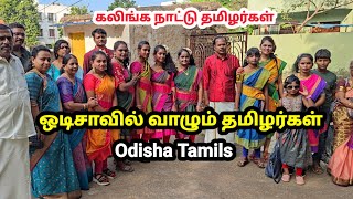 ஒடிசா தமிழர்களின் நிலை ଓଡିଶା ତାମିଲ୍ସର ଜୀବନ Odisha Tamils lifestyle ओडिशा तमिल क्षेत्र [upl. by Arted]