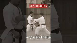 Junro Godan bunkai Masao Kagawa [upl. by Sosthenna]