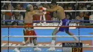 Oscar De la Hoya vs Jorge Paez [upl. by Capps]