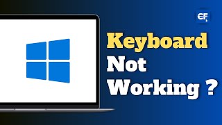 How to Fix if Laptop Keyboard Not Working [upl. by Truscott]