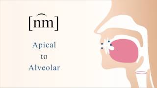 n͡m  voiced labial coarticulated bilabial nasal stop [upl. by Goff865]