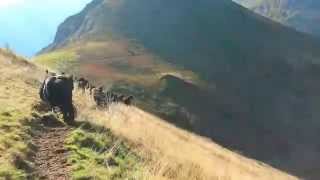 DESCENTE Destive deuxième partie cest parti pour 25kms et 4 heures de marche [upl. by Dibbell284]