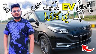 Seres 3  Affordable Ev in pakistan [upl. by Anneirda128]