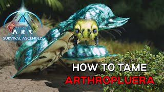 Ark Survival Ascended  How to tame ARTHROPLUERA  Easiest Method [upl. by Lehet]