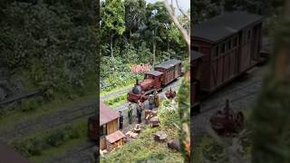 Narrow Gauge Forest railway [upl. by Koo842]