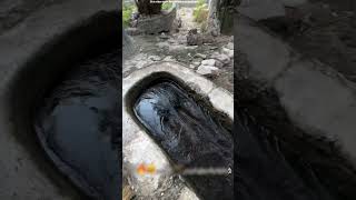 ये लड़का पानी के pool में कूद गया  jump water  shortsvideo [upl. by Nomzaj]