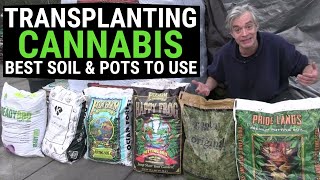 Cannabis Transplanting Demystified Best Soil amp Pots for BIG Plants [upl. by Demaria572]