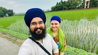 Farm di sair ਗਾਵਾਂ ਦਾ ਆਚਾਰ 🌺 ਝੋਨਾ ਲੱਗਨਾਸ਼ੁਰੂ ਜਿੰਦ ਕੌਰ ਬਹੁਤ ਸ਼ੇਤਾਨ ਹੋਗੀ😬 [upl. by Aliahs420]