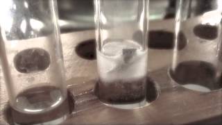 Magnesium ribbon and HCl experiment [upl. by Kahn147]