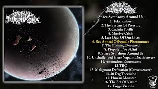 Carnal Diafragma  Space Symphony Around Us FULL ALBUM 2006  Goregrind [upl. by Esyned]