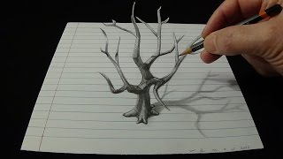 Art 3d Drawing  How To Draw An Old Tree In 3d With Pencil [upl. by Evelin985]