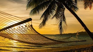 Guided Meditation Sleep Talk Down Sleeping Hammock Hypnosis for Sleep Relaxation [upl. by Cynthia]