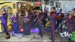 Mariachi los Palmeros de Ojocaliente Zacatecas [upl. by Ennahs]