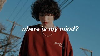 Calpurnia  where is my mind  español [upl. by Ziagos419]