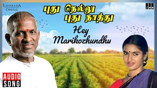 Hey Marikozhundhu Song  Pudhu Nellu Pudhu Naathu Movie  Ilaiyaraaja  Sukanya  S Janaki [upl. by Gerladina]