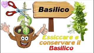 ESSICCARE E CONSERVARE IL BASILICO [upl. by Eiznek98]