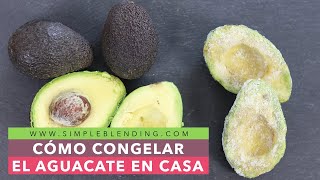 CÓMO CONGELAR EL AGUACATE EN CASA  Congelación casera del aguacate [upl. by Haibot155]