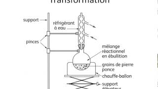 Synthèse despèces chimiques [upl. by Lurlene]