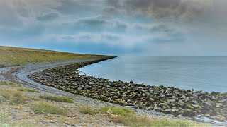 Natuurfilm  Documentaire Afsluitdijk [upl. by Henriha347]