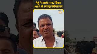 Wheat Prices गेहूं के भाव ने तोड़ा रिकॉर्ड मंडी में MSP से ज्यादा दाम पर बिके गेहूं  Kisan Tak [upl. by Sabanrab207]