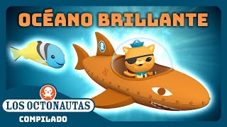 Los Octonautas  ✨ Océano brillante 🌎  Episodios Completos  Compilado [upl. by Felicity]