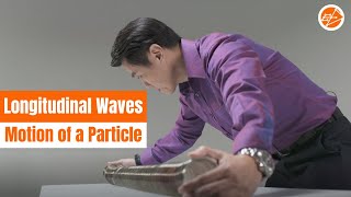 Longitudinal Waves  Motion of a Particle [upl. by Simon]