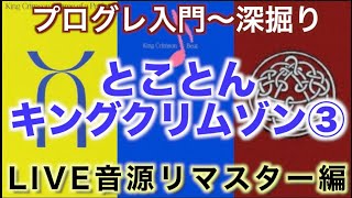 【プログレ解説】とことんキングクリムゾン❸【コレクター沼】 [upl. by Klusek]