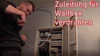 Wallbox im Zählerschrank anschließen ElektroM [upl. by Harriot]