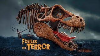 Criaturas Fosilizadas Descubre los Monstruos de la Prehistoria que Parecen de Películas de Terror [upl. by Quitt590]